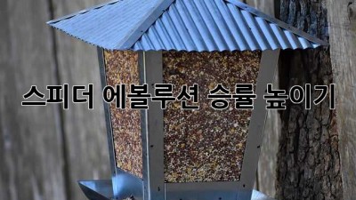 스피더 에볼루션 승률 높이기