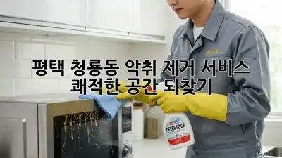평택 청룡동 악취 제거 서비스: 쾌적한 공간 되찾기